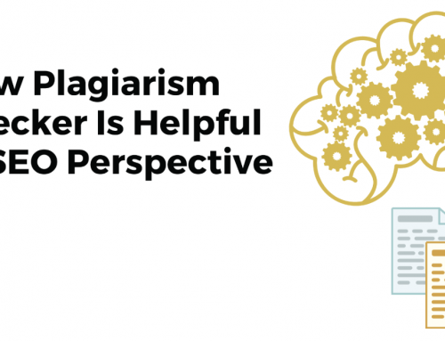 How Plagiarism Checker Is Helpful In SEO Perspective